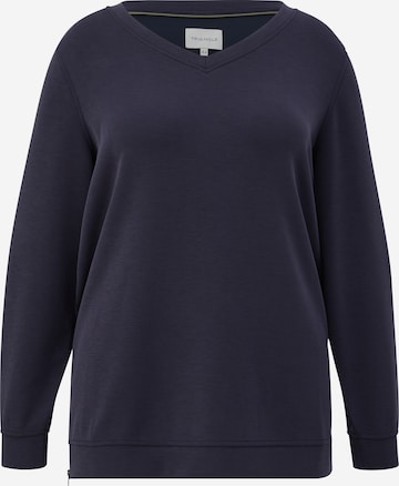 TRIANGLE Sweatshirt in Blauw: voorkant