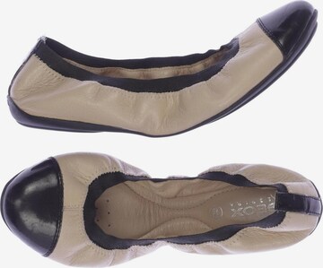 GEOX Flats & Loafers in 37 in Beige: front