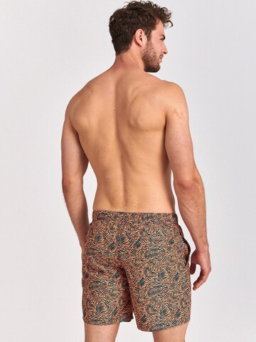 Shiwi Kratke kopalne hlače | oranžna barva