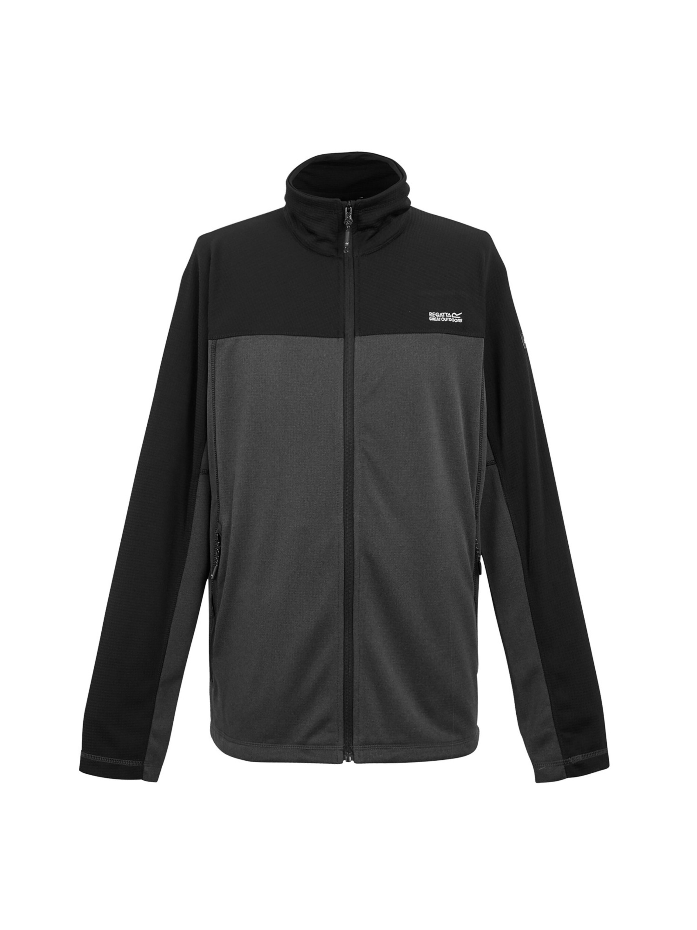 REGATTA Fleece jacket 'Highton Full Zip V' in Grey: front
