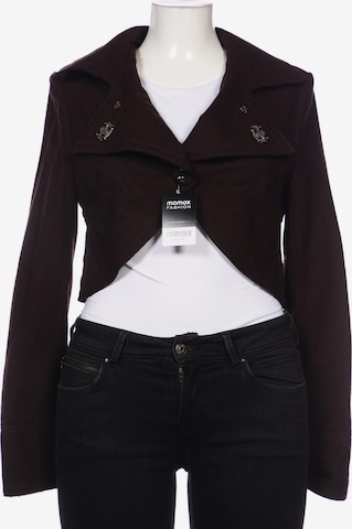 Dept. Blazer in XL in Brown: front