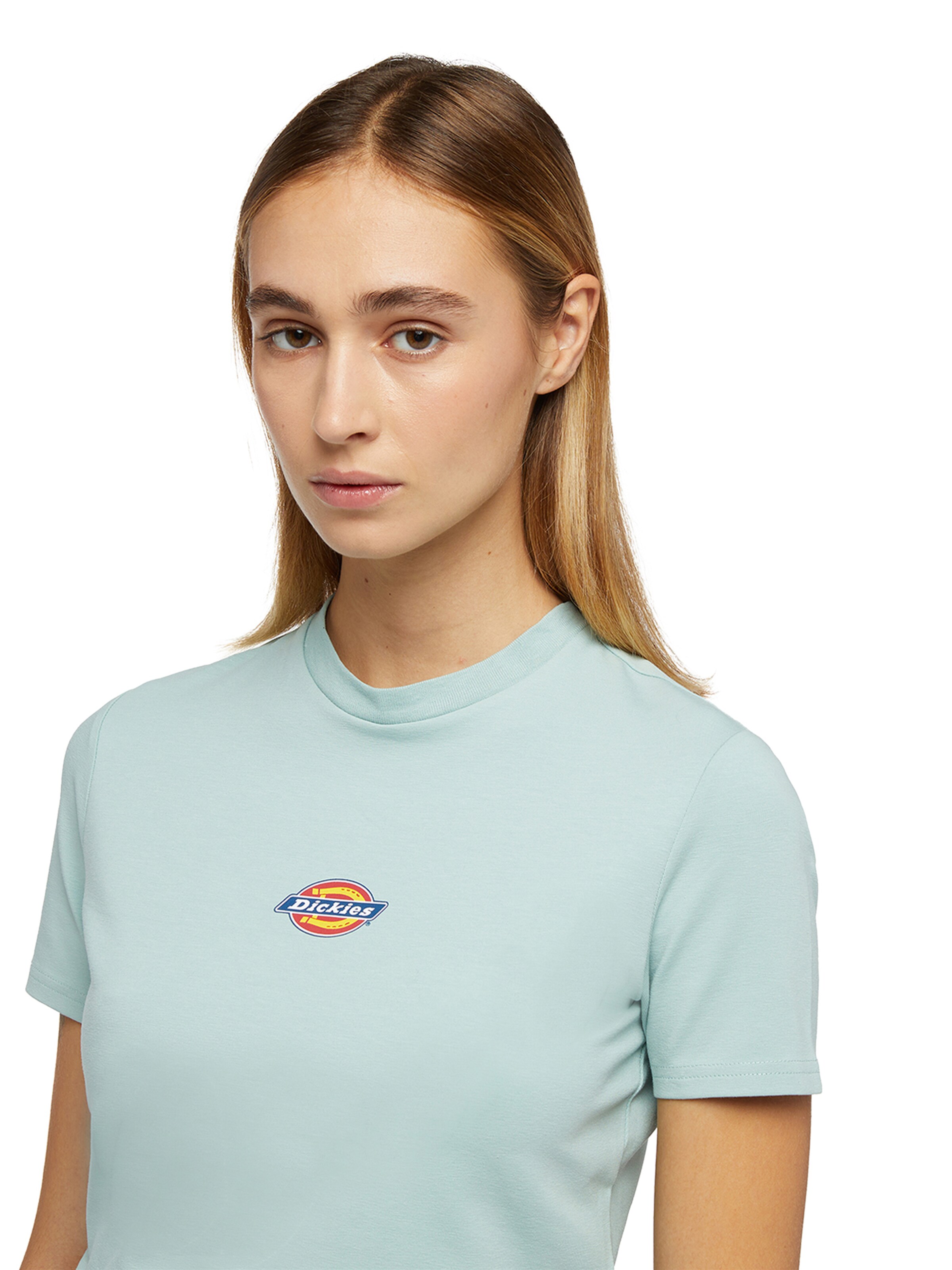 Maglietta 'MAPLE VALLEY' di DICKIES in blu