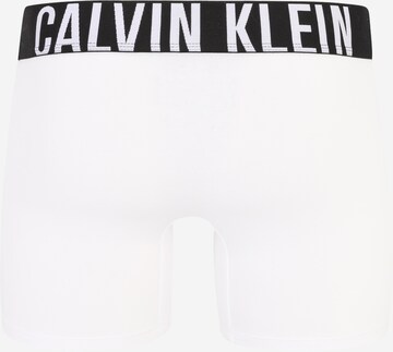 Calvin Klein Underwear Bokserishortsit värissä harmaa