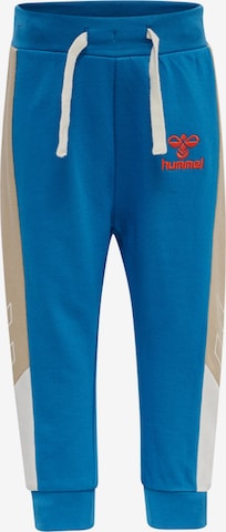 Hummel Regular Workout Pants 'FINN' in Blue: front