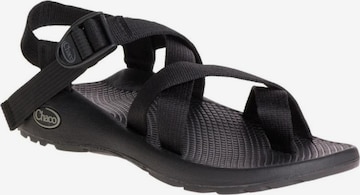 Chaco Sandaalit 'MENS Z/2' värissä musta: etupuoli