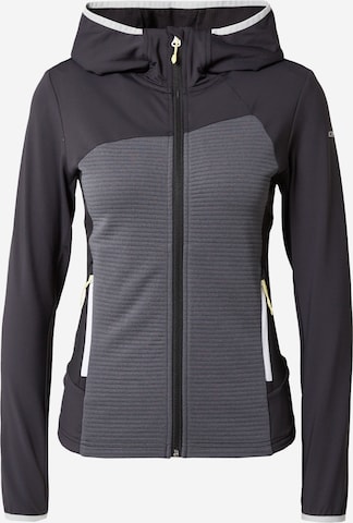 ICEPEAK Athletic Zip-Up Hoodie 'BASILE' in Grey: front