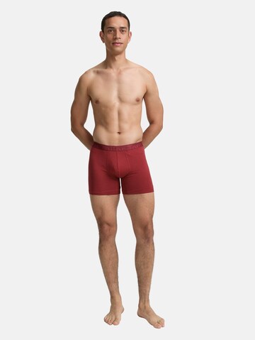 TOM TAILOR Boxershorts in Rood