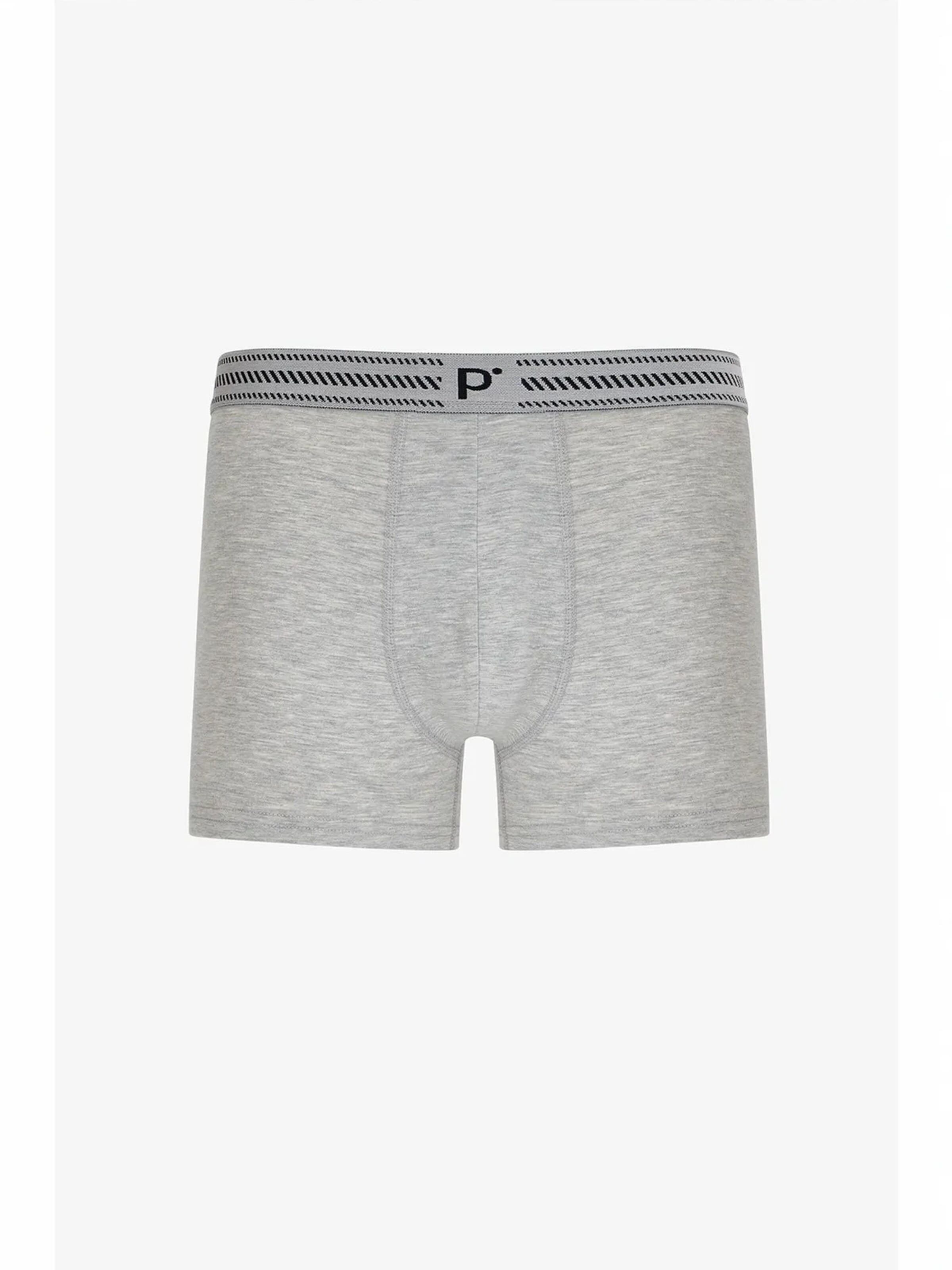 Penti Boxershorts 'PENTI Herren Shades Boxer'‌‌‌‌‌‌‌‌ in Mischfarben