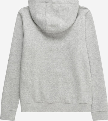 ELLESSE Sweatshirt 'Otternere' i grå