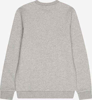 ADIDAS ORIGINALS Sweatshirt 'Adicolor Crew' in Grey