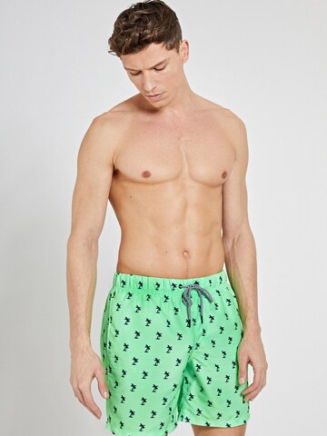 Shorts de bain Shiwi en vert