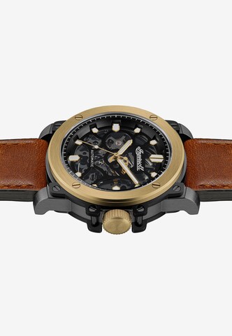 INGERSOLL Analog Watch in Gold