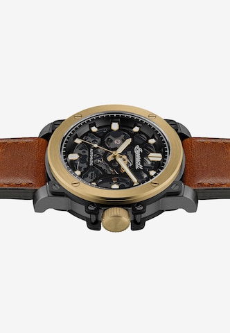 INGERSOLL Analog Watch in Gold