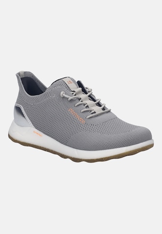 JOSEF SEIBEL High-Top Sneakers 'CHERYL 01' in Grey