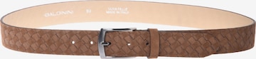 BALDININI Belt in Brown: front