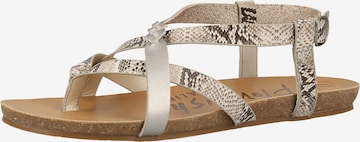 Blowfish Malibu T-Bar Sandals in Grey: front