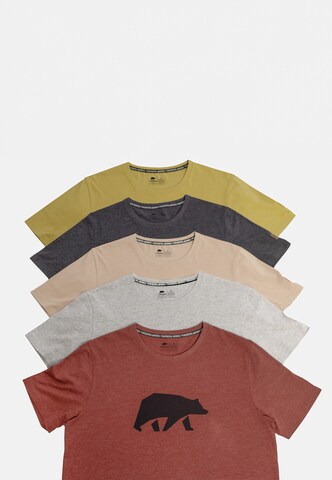 FORSBERG T-Shirt in Grau