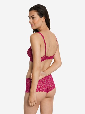 Hanro - Triangular Soutien ' Moments ' em rosa