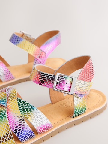 Next Sandalen in Gemengde kleuren