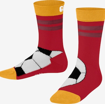 FALKE Socken 'Active Soccer' in Rot: Vorderseite