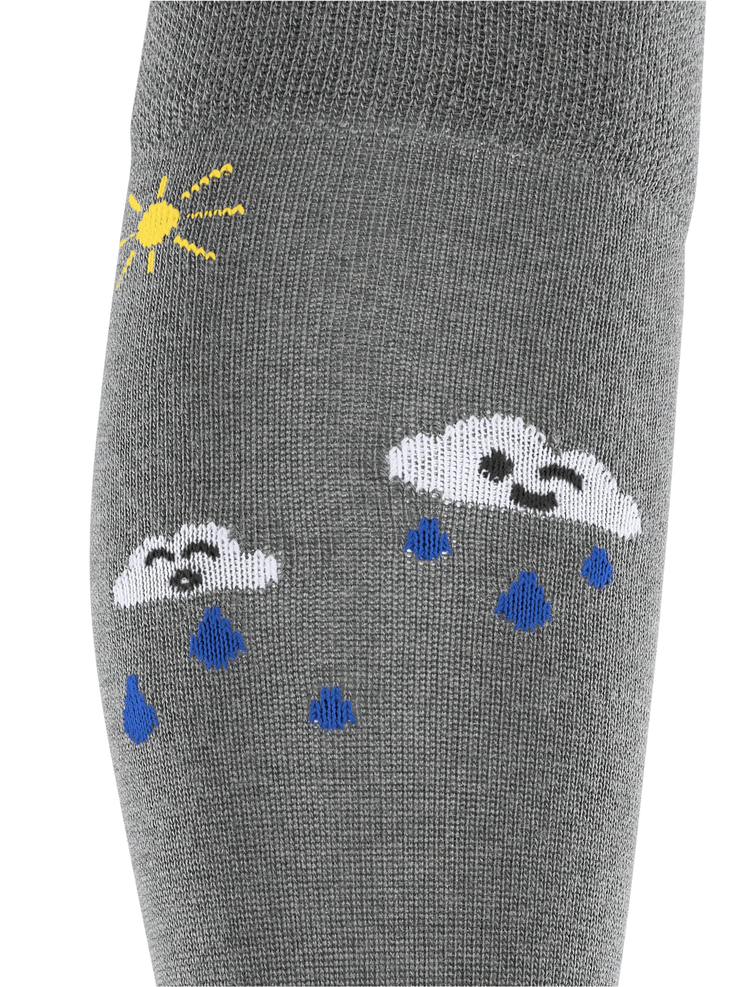 FALKE Socks 'Active Rainboot' in Grey