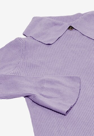 caissa Sweater in Purple