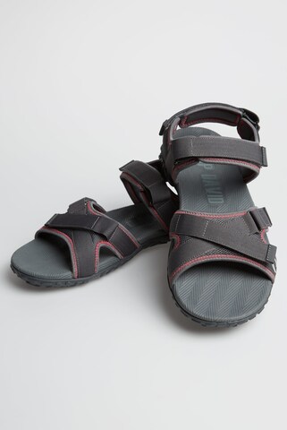 CAMP DAVID Hiking Sandals in Grey: front