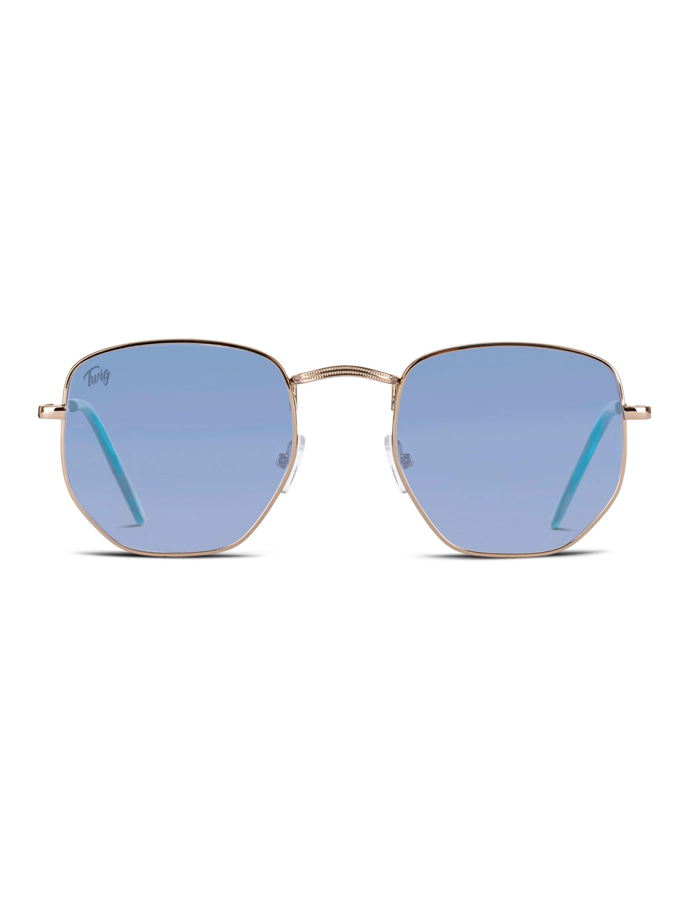 TWIG Concept Milano Sunglasses 'Roque' in Blue