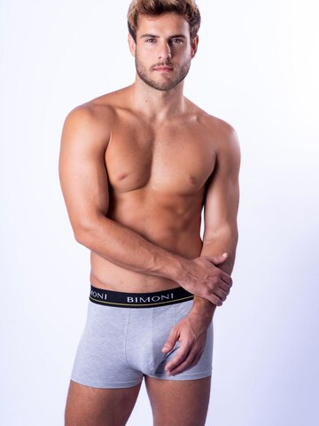 BIMONI Boxershorts in Grau