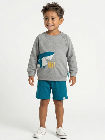 SIGIKID Regular Pants 'Bermuda Blue & Bright' in Green