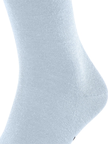 FALKE Knee High Socks 'Airport' in Blue: front