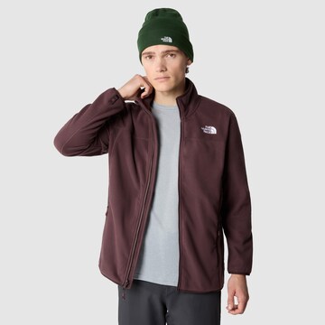 THE NORTH FACE Athletic Fleece Jacket '100 GLACIER' in Brown