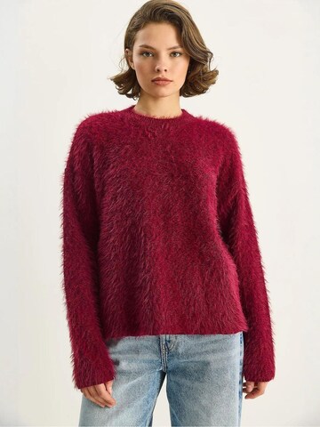 Bianco Lucci Pullover in Rot