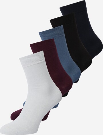 BJÖRN BORG Athletic Socks in Blue: front