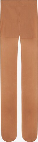 CALZEDONIA Tights in Beige: front
