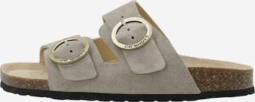 Ca'Shott Pistokkaat 'Helle' värissä harmaa: etupuoli