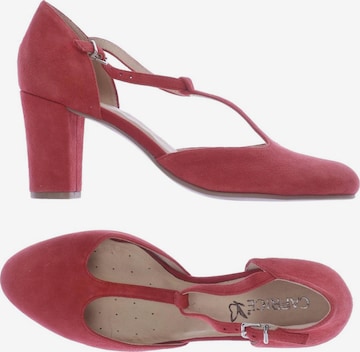 CAPRICE Pumps 38,5 in Rot: predná strana