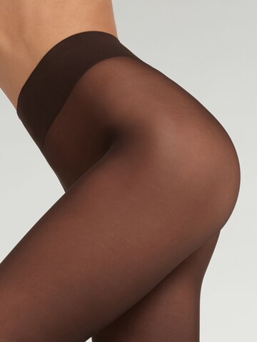 CALZEDONIA Tights in Brown