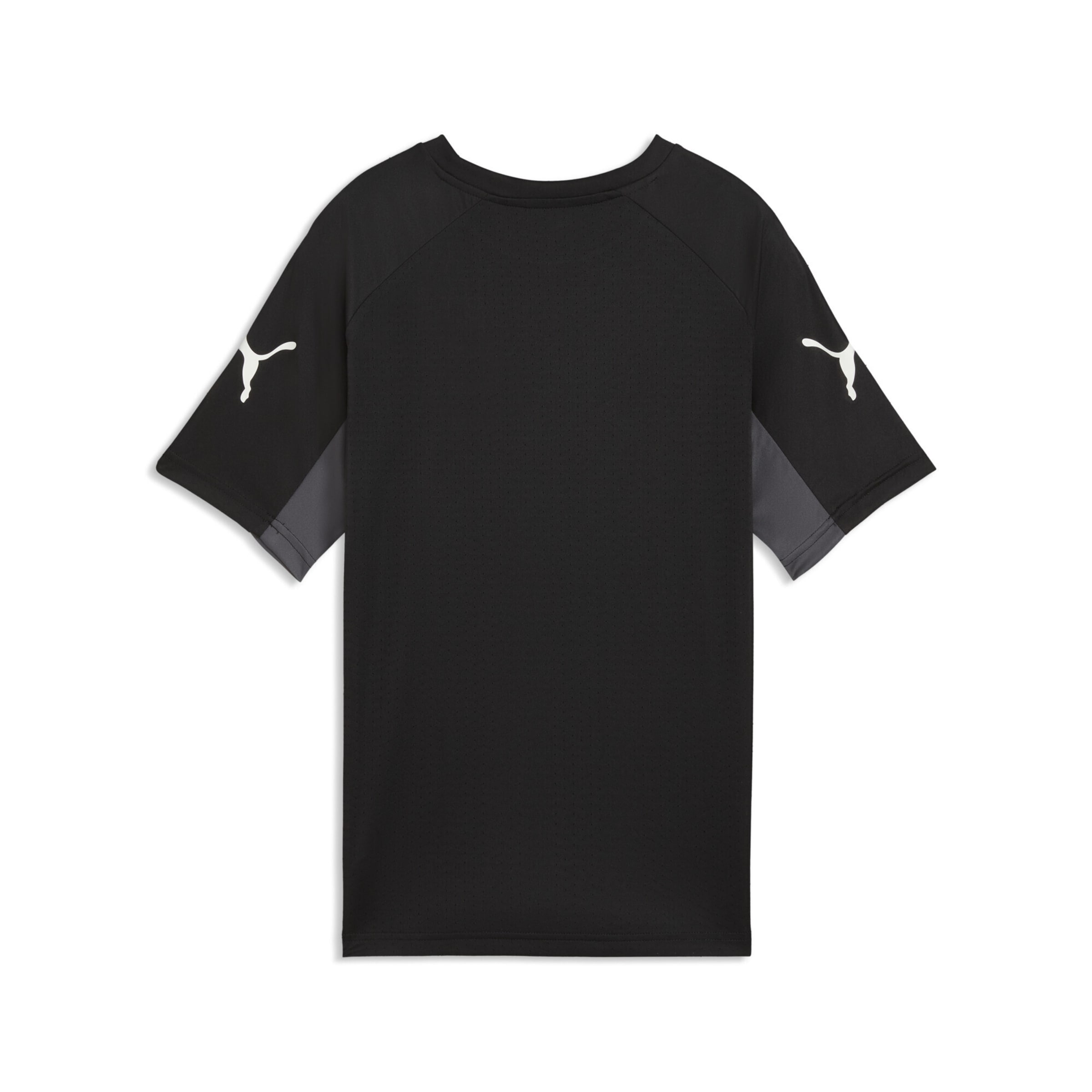 PUMA Functioneel shirt 'Individual LIGA' in Zwart