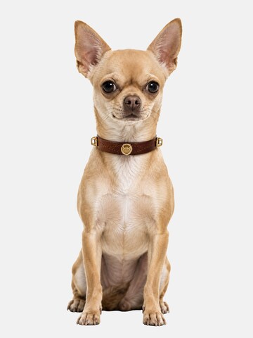 Unleash Cph Halsband in Brown