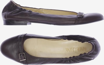 Madeleine Flats & Loafers in 40 in Brown: front