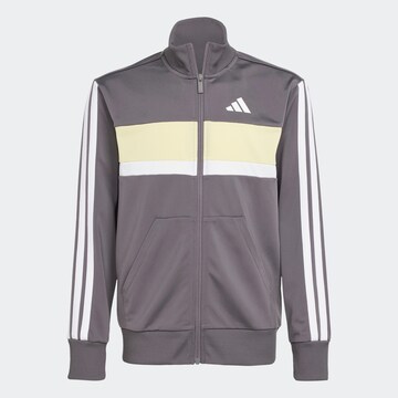 ADIDAS SPORTSWEAR Set 'Seasonal Essentials Tiberio' in Gold