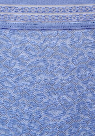 LASCANA Slip in Blau