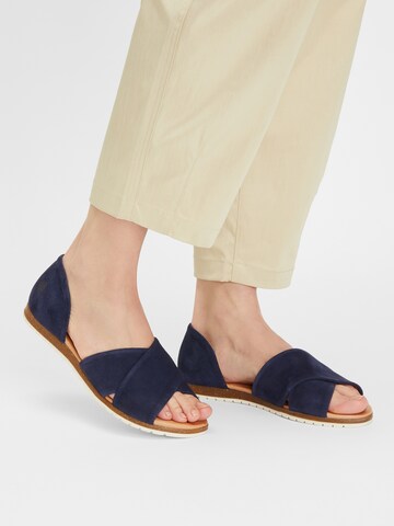 Apple of Eden Sandals in Blue: front