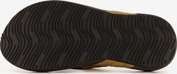 REEF T-Bar Sandals 'Cushion Phantom 2.0' in Brown