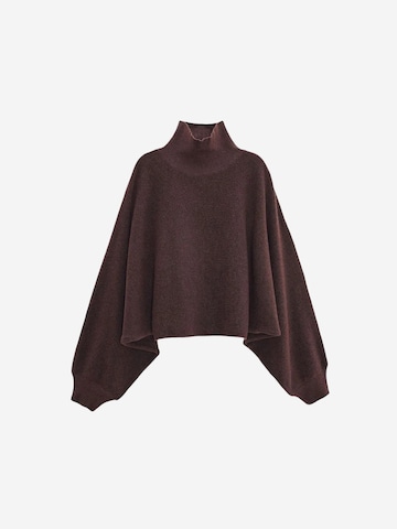 Pullover 'Pullover' di Dilvin in marrone: frontale