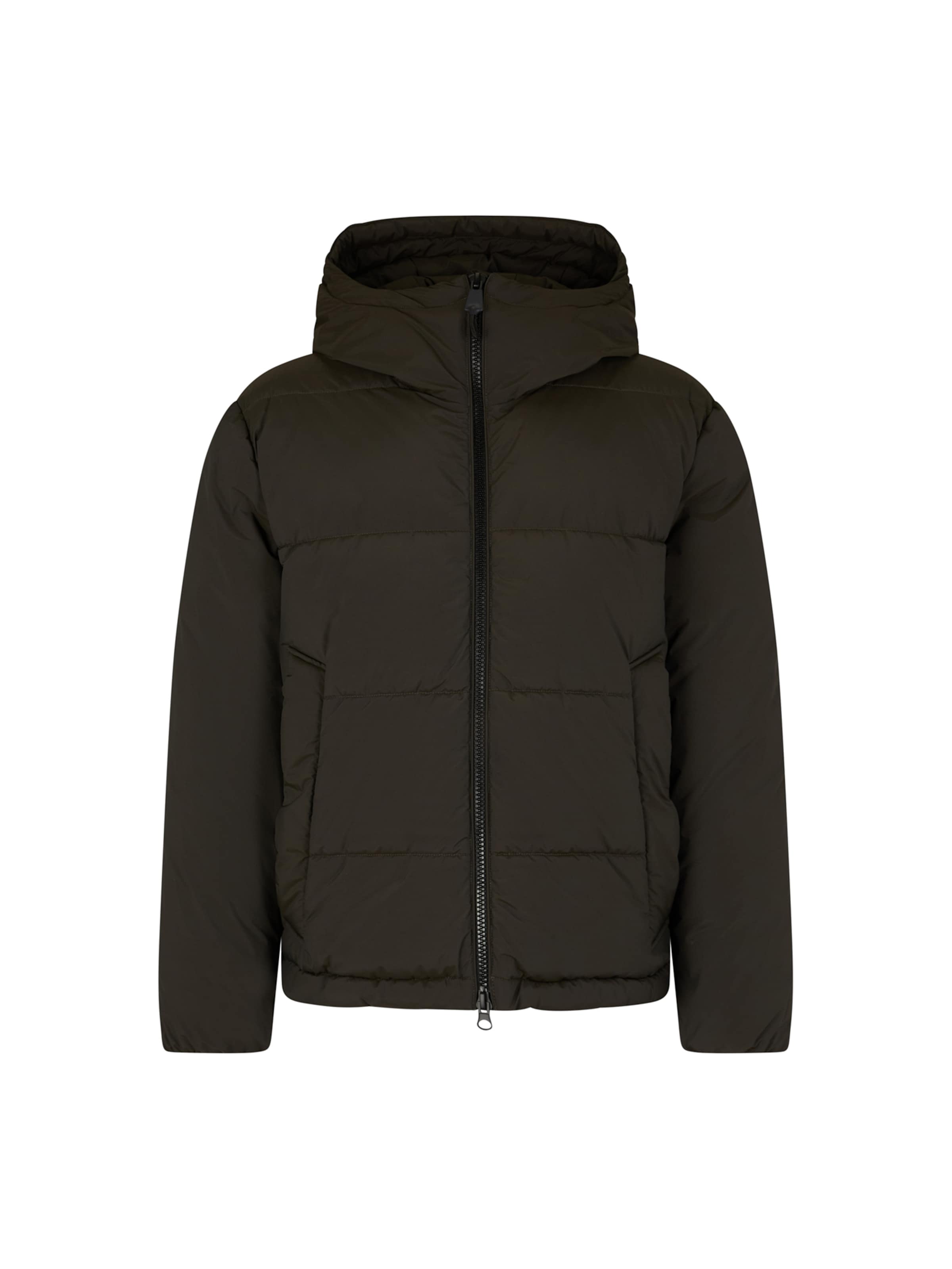 STRELLSON Winter Jacket 'Smooth' in Green: front