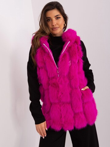 Madnezz House Weste in Pink: Vorderseite