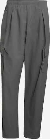 Pantalon outdoor 'Xploric' ADIDAS TERREX en gris : devant