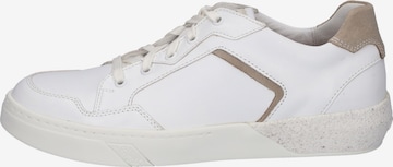 JOSEF SEIBEL Lace-Up Shoes 'FRED 02' in White: front